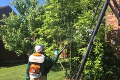 Mosquito control being applied at 15 feet