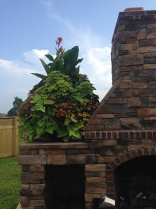 Window-boxes-and-annual-plantings-4-225x300