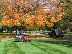 fall-lawn-care