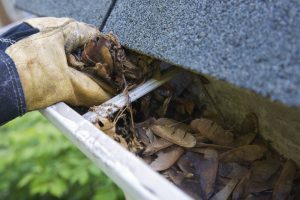 Gutter Clleaning