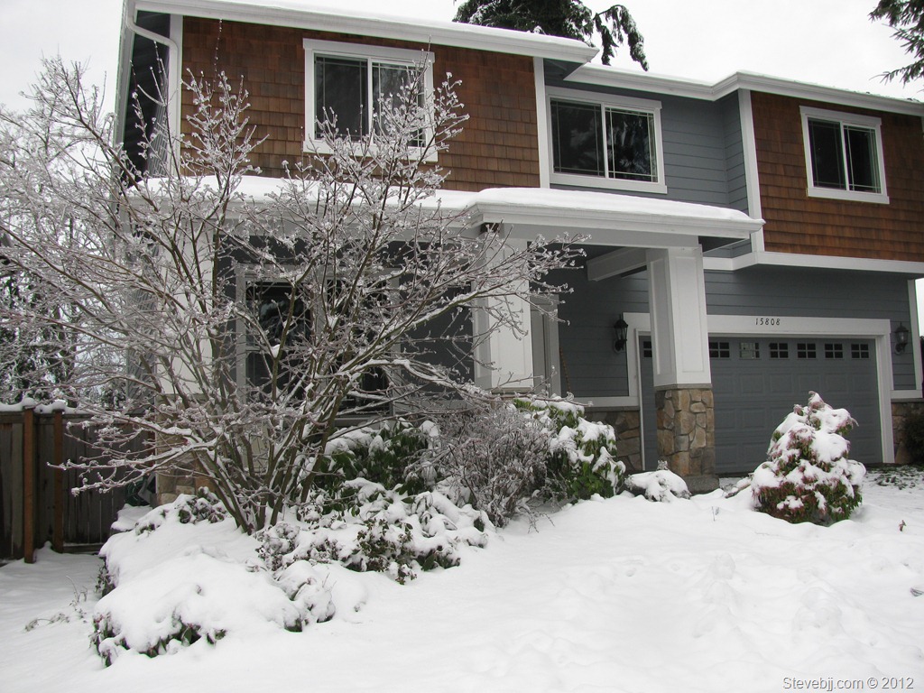 How to Protect Your Plants and Trees from the Late Fall, Winter, Snow, Ice, and Animals…