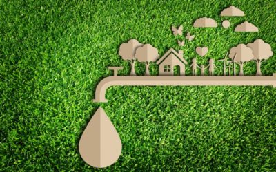 3 Ways to Save Water Through Landscape Design…