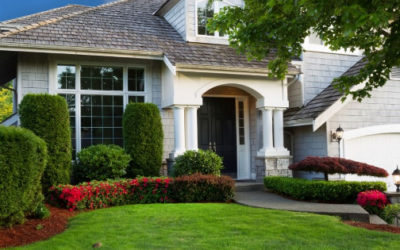 TOP SERVICES FOR AUGUST… Lawn Care, Aeration & Overseeding, Tree & Shrub Maintenance, and Mole Control…