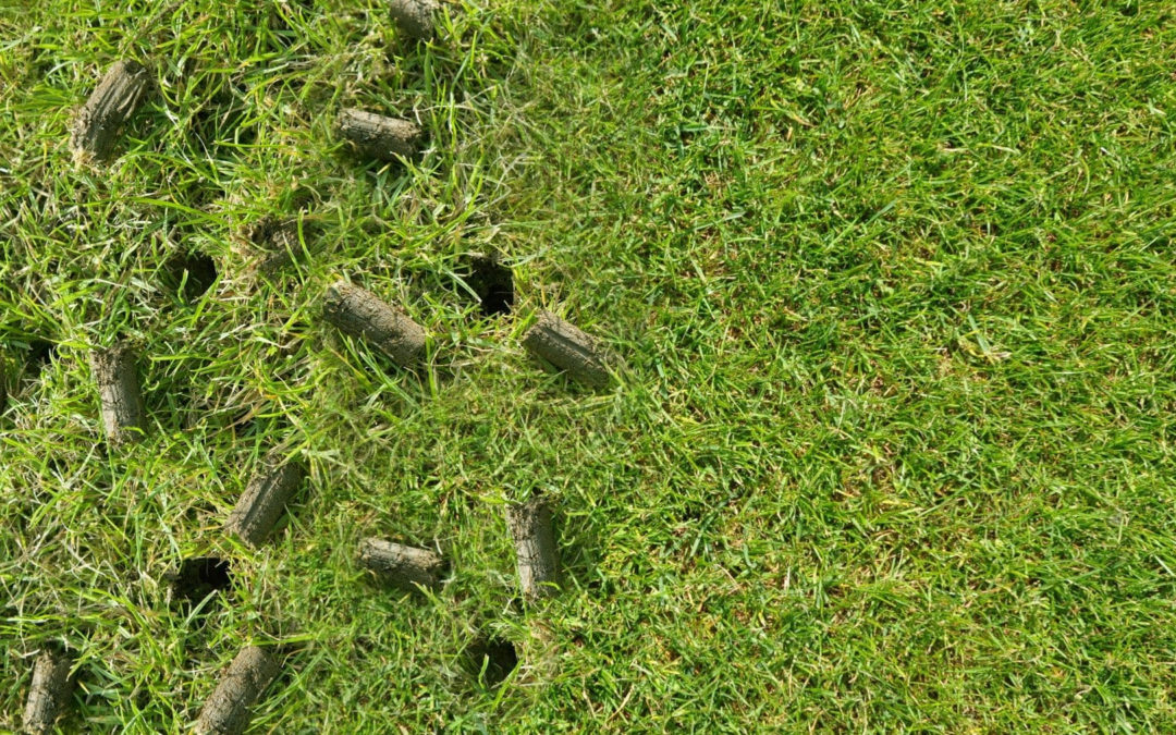 How Core Aeration Can Boost The Health Of Your Lawn…