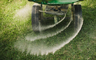 Lawn Tips – 6 Things You Can Do To Keep a Greener, Weed Free Lawn All Year Long!…