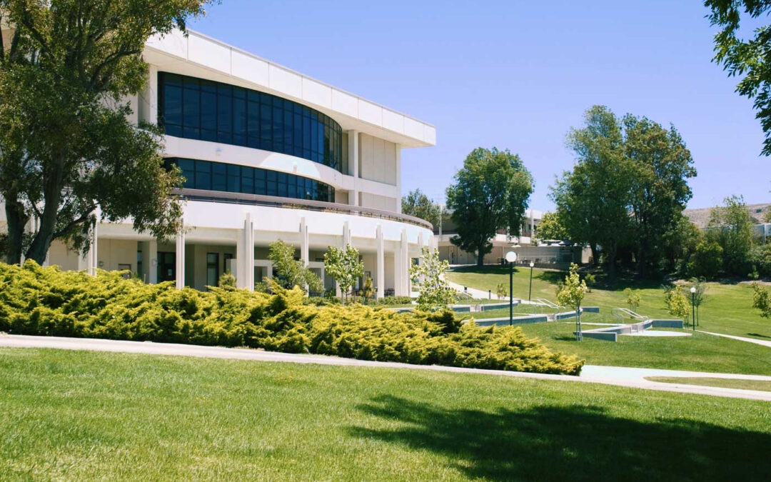 The Importance of Professional Commercial Lawn Care: Enhancing Property Value and Curb Appeal…