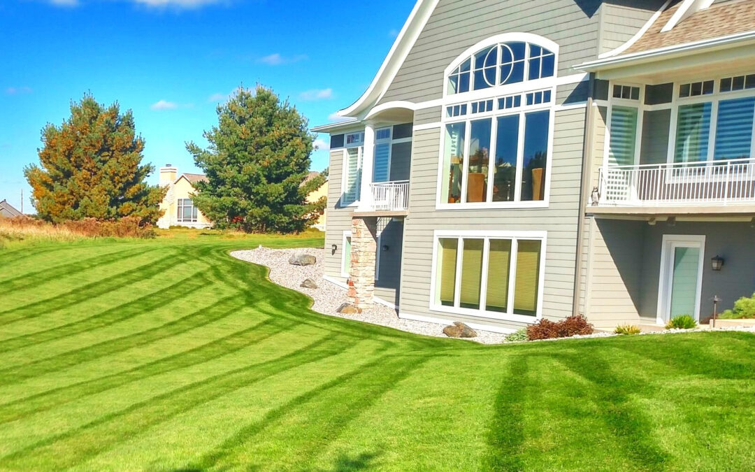 Late Summer Lawn Care Tips: Keeping Your Lawn Healthy and Beautiful…