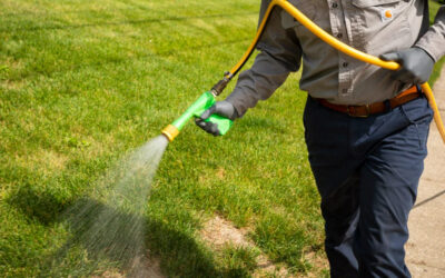West Chester Lawn Care Services – Top Reasons Why Your Lawn Needs Professional Help…