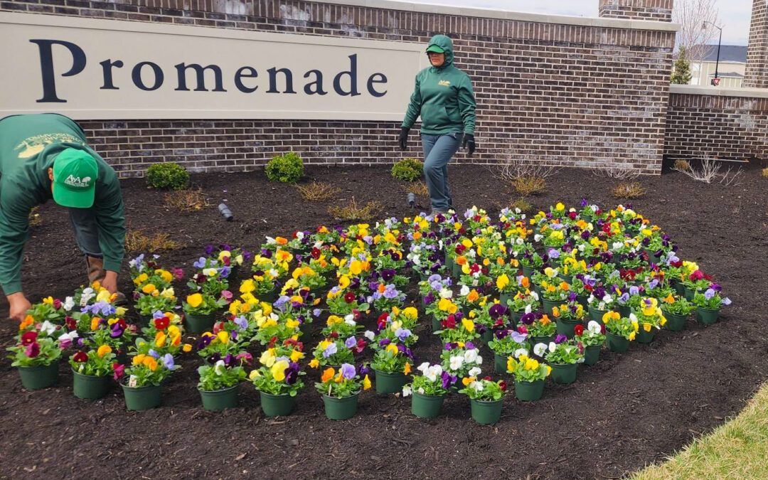 Union Promenade – Spring Clean-Up, Annual Floral Display (Union, Kentucky)