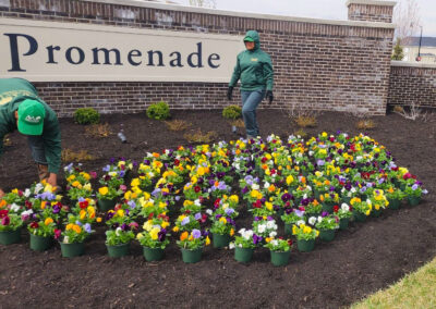 Union Promenade – Spring Clean-Up, Annual Floral Display (Union, Kentucky)
