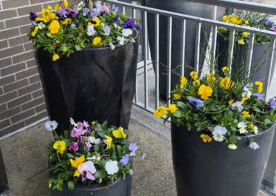 Bru Burger Restaurant & Bar – Floral Display  (Fort Mitchell, Kentucky)