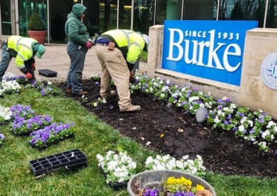 Burke Institute – Spring Clean Up, Floral Display (Cincinnati, OH)