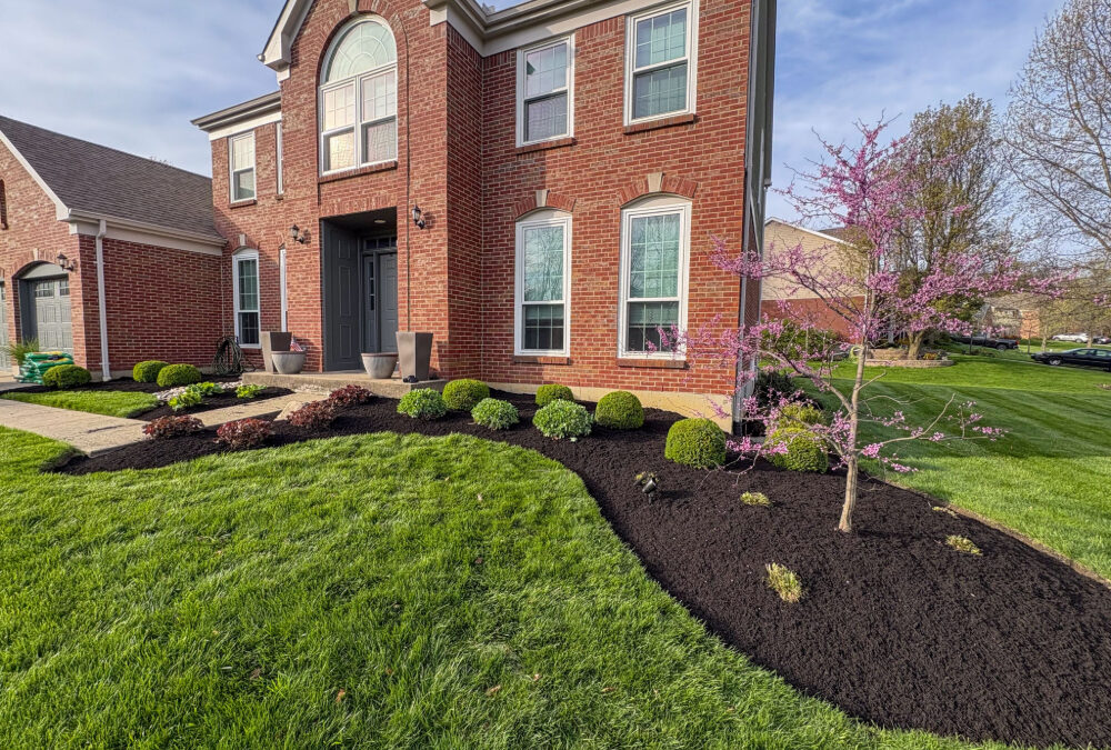 Residential – Spring Clean Up (Northern Kentucky)