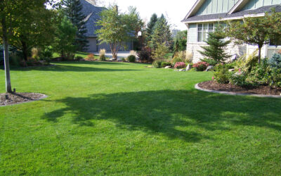 The Complete Guide to Summer Lawn Care in Cincinnati: Watering, Mowing, and Maintenance Tips…