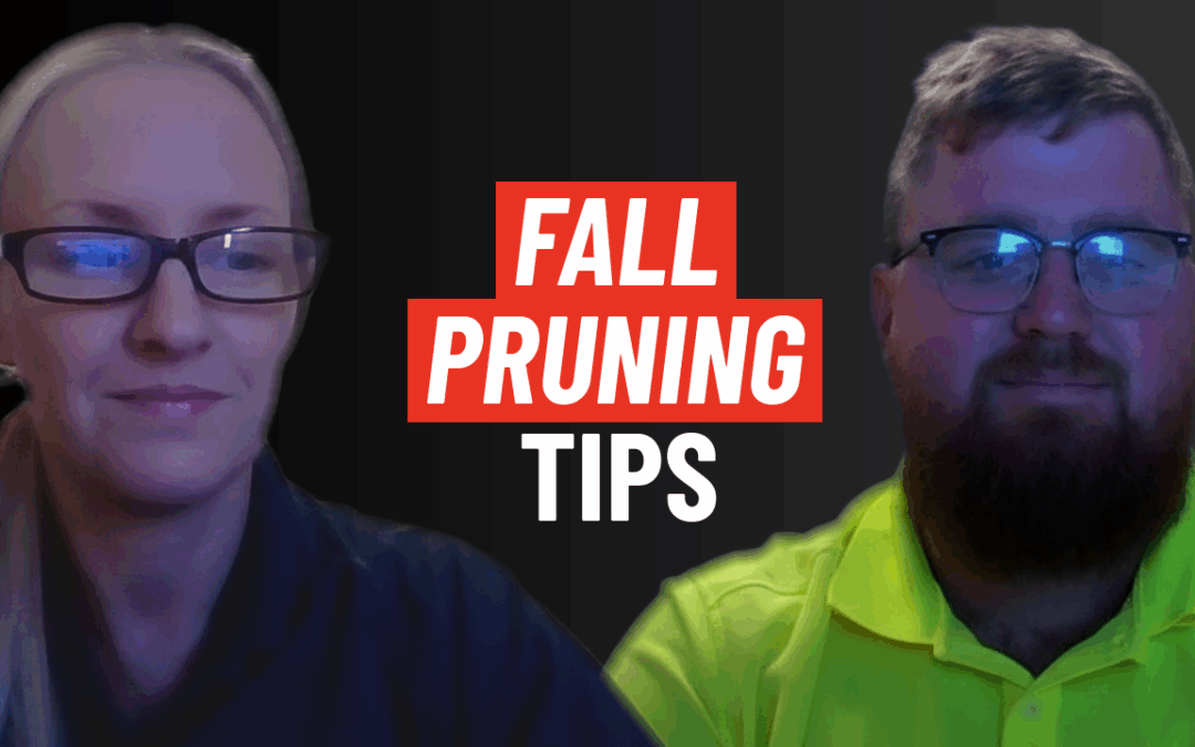 The Do’s and Don’ts of Fall Pruning…